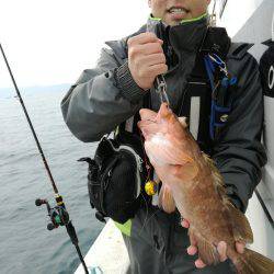 リトルワン 釣果