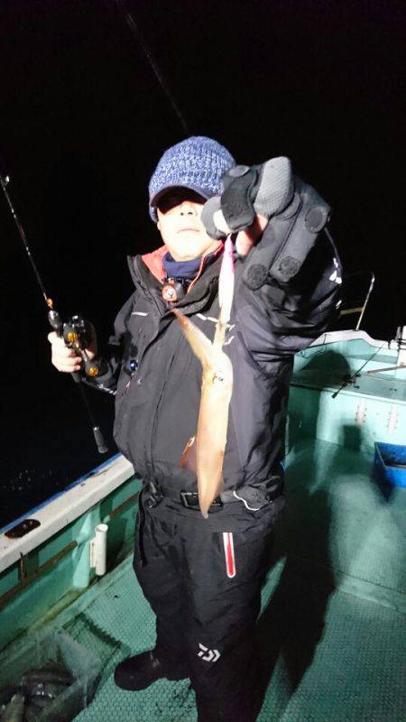 シードリーム 釣果