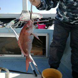 リトルワン 釣果