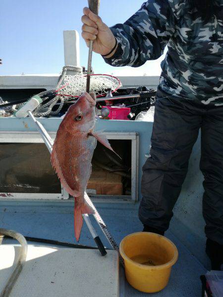 リトルワン 釣果