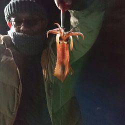 シードリーム 釣果