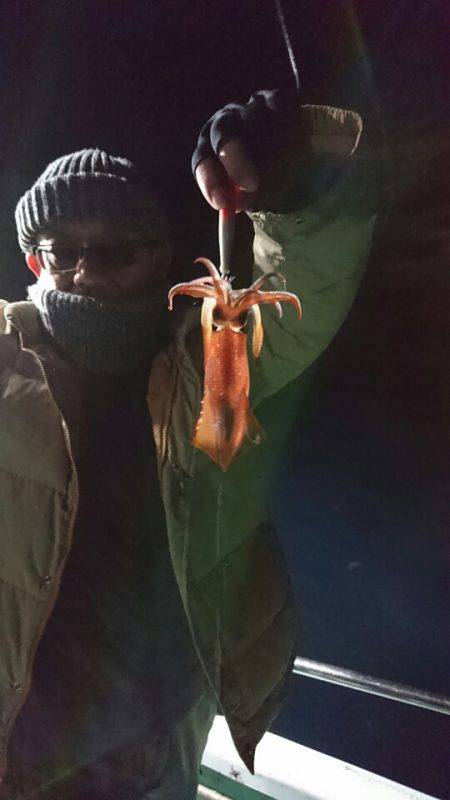 シードリーム 釣果