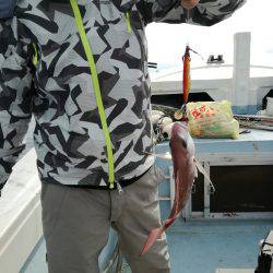 リトルワン 釣果