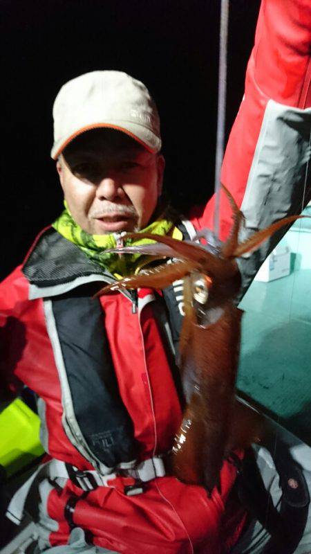 シードリーム 釣果