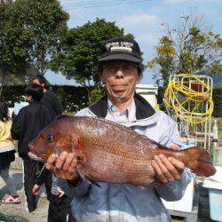 貞丸 釣果