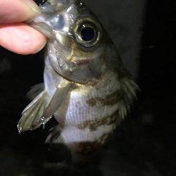 ランガンメバリング