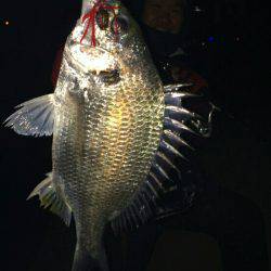 ホンマすっきゃねぇ~