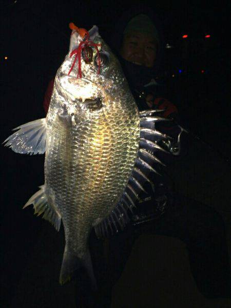 ホンマすっきゃねぇ~