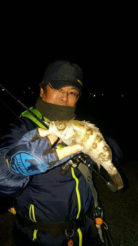 朝マヅメメバリング