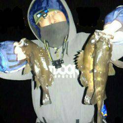 ブルーバック連発！