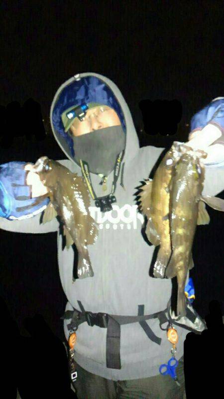 ブルーバック連発！