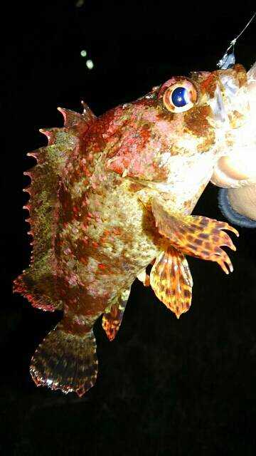 潮が動かない…