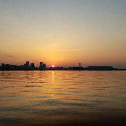 夜釣りでセイゴとハネ