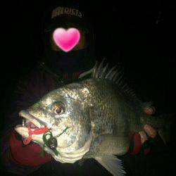 パラダイスらしい!?