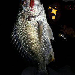 犯人はこいつかぁ~