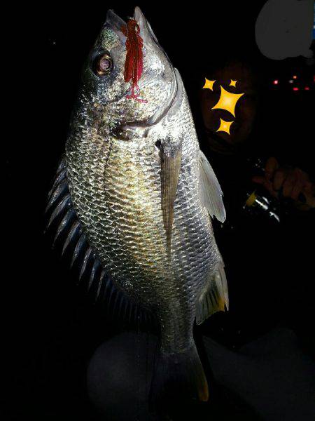 犯人はこいつかぁ~