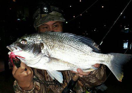 渋いしぶいシブイ。