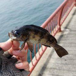 平磯海づり公園