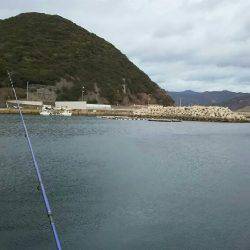 雨あがりからの強風