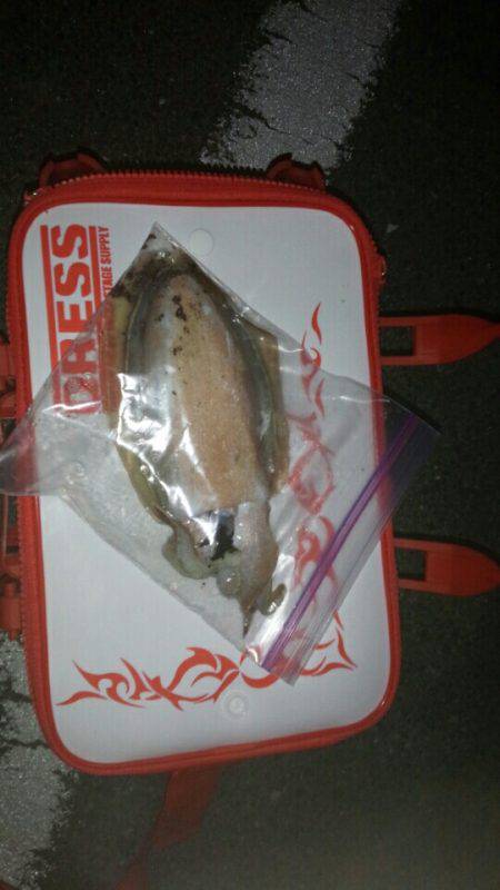 およばれライトの一杯