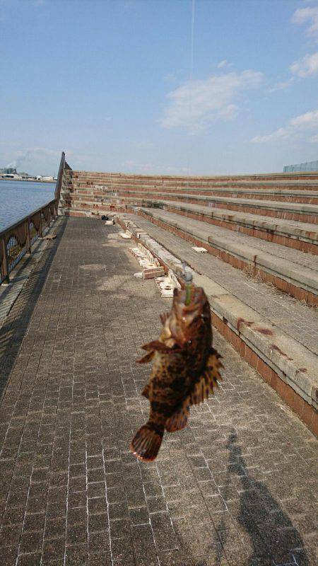 愛するガッシー