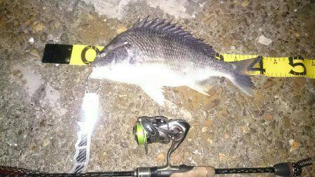 激渋チニング。