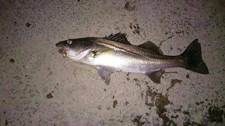 冷え込みますね