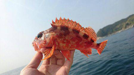 紀北沖ひとつテンヤ