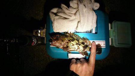 ガシリング調査