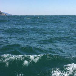 豊浜港 出船のフグ釣り