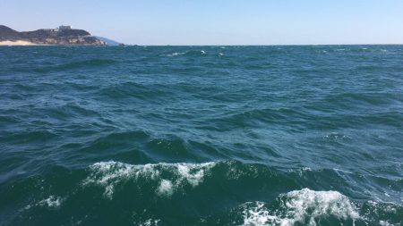 豊浜港 出船のフグ釣り