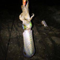 レッドモンスターが釣りたい(笑)