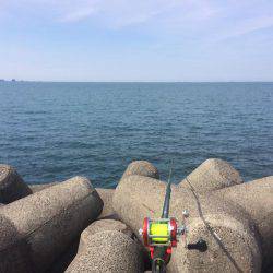 南紀遠征＆投げ練で良型チヌ