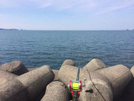 南紀遠征＆投げ練で良型チヌ