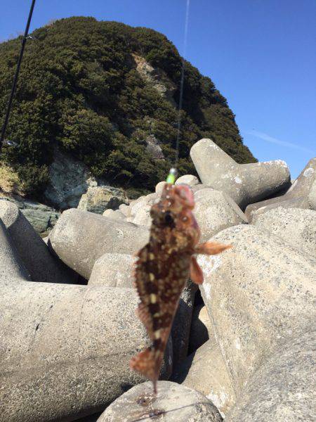 サビキと穴釣り