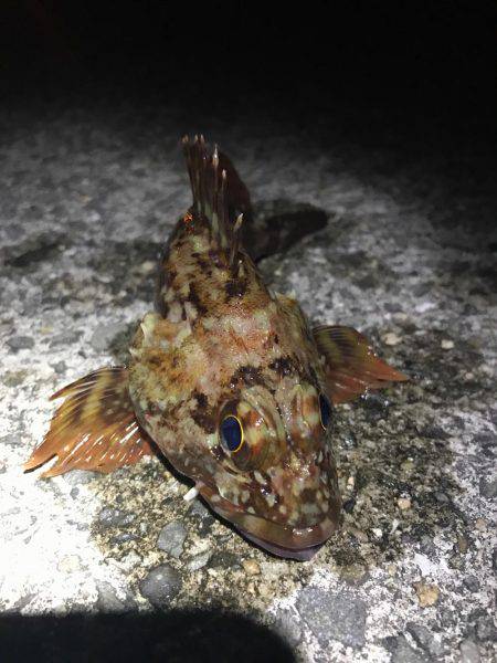 まさかの・・・！