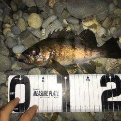 フロート→プラッキング