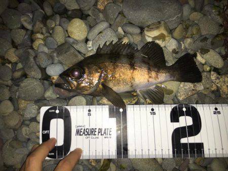 フロート→プラッキング