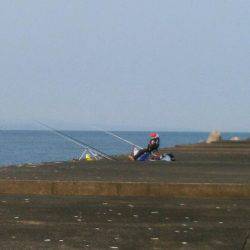 貧果の投げ釣り