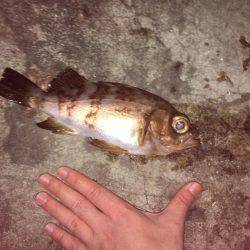 聞いてたのと違う！