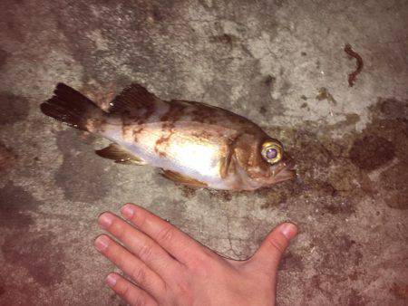 聞いてたのと違う！