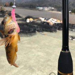 やっぱり釣れる釣りを、、、