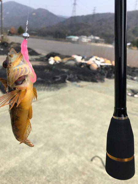 やっぱり釣れる釣りを、、、