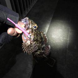 渋いがセオリーどおり