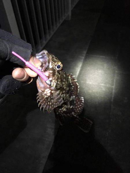 渋いがセオリーどおり