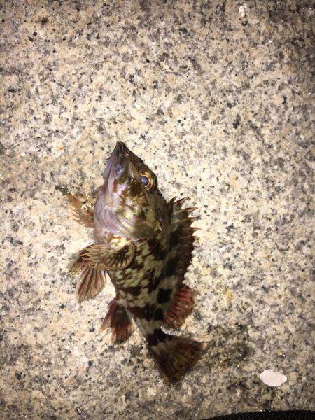 仕事終わりに…