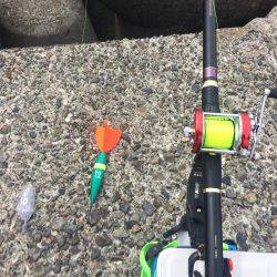 ノッコミマダイ連続Get!