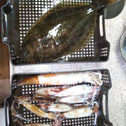 イカメタル&ヒラメ