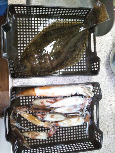 イカメタル&ヒラメ