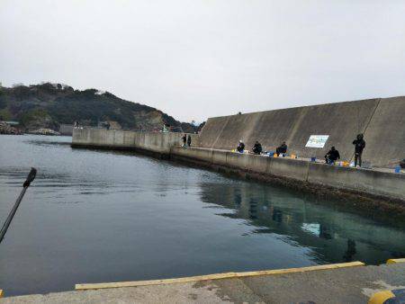 久しぶりのサビキ釣り